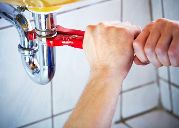 About Hopkins Park Plumbers